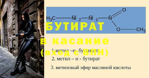 индика Аркадак