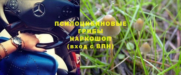 ALPHA PVP Баксан